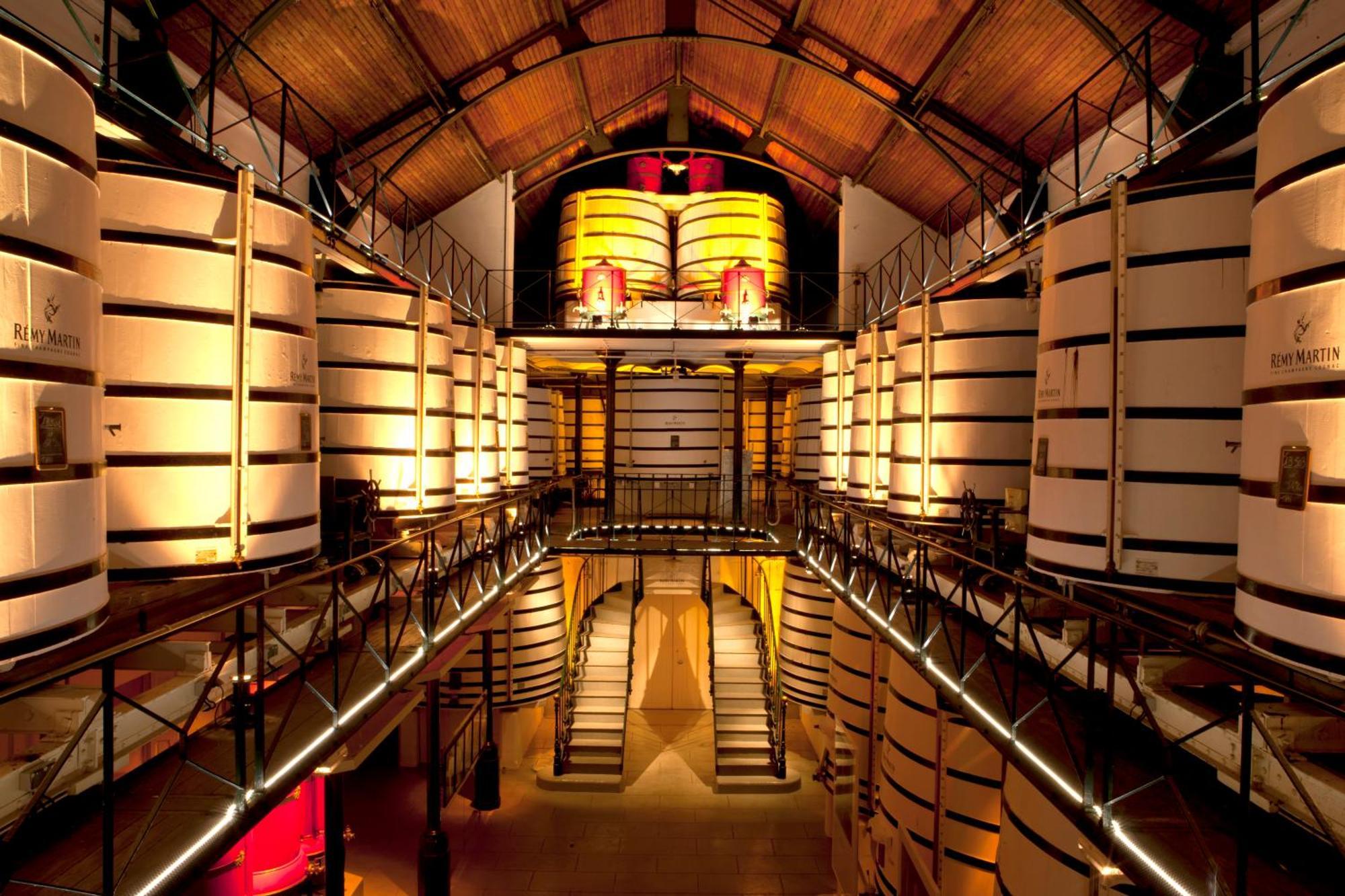 Le Mimosa #Netflix #Centre-Ville Cognac Exteriör bild